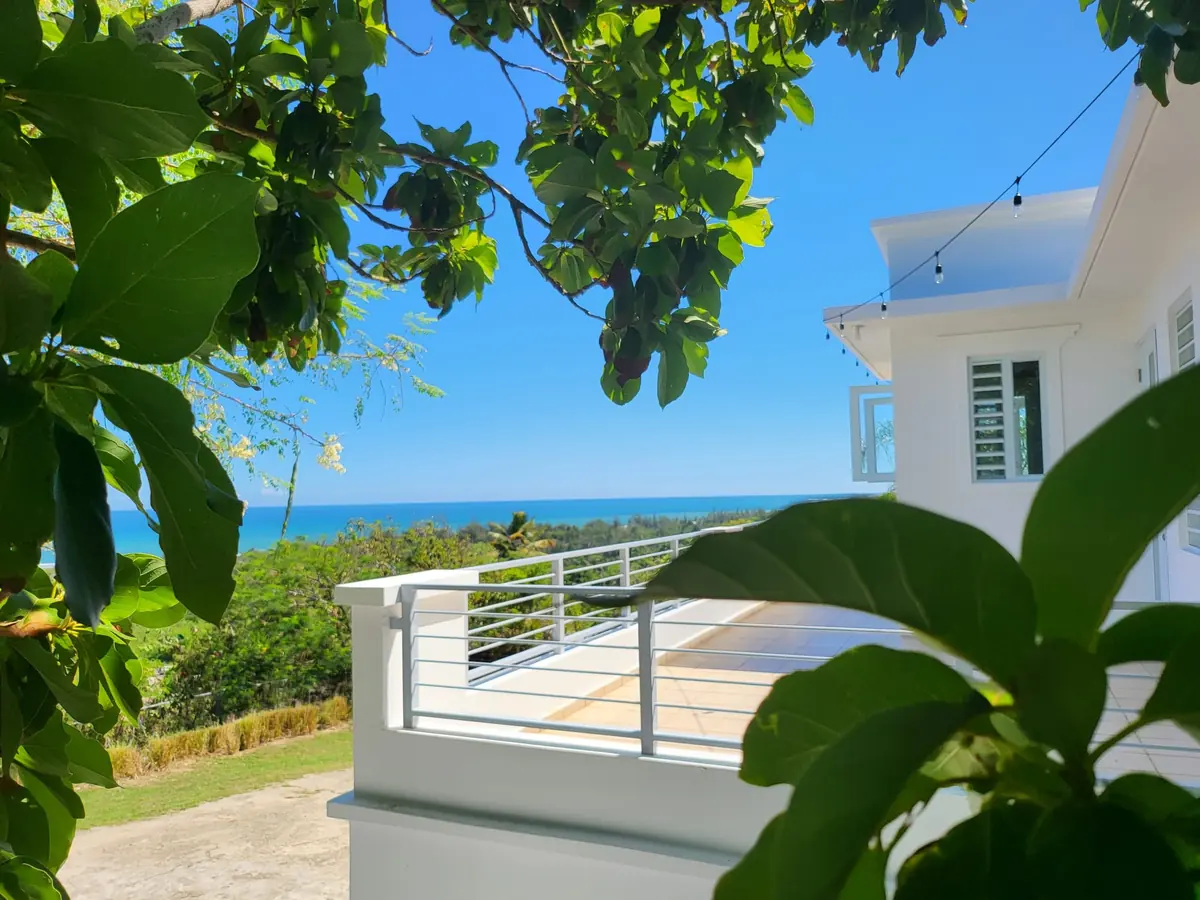 The balcony railing and the sea, seen through the leaves of the garden