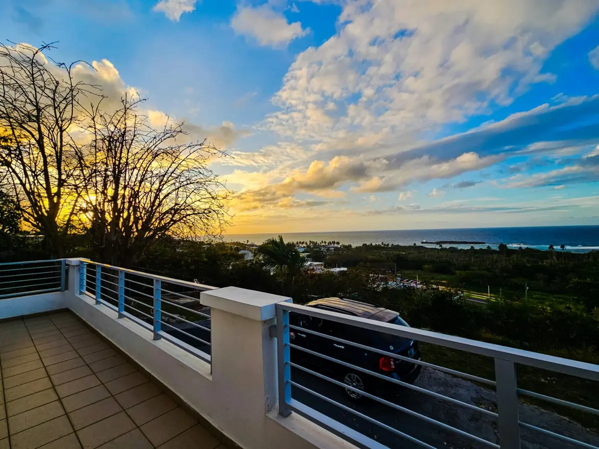 Sunset behind the bare tree next to the balcony, the sea lit gold